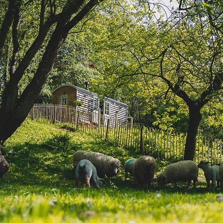 Отель Somerset Shepherds Huts Winsham Экстерьер фото